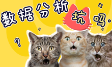 數(shù)據(jù)分析怕不是個(gè)坑吧，入行兩年工資沒(méi)漲，天天取數(shù)
