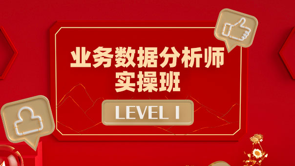 業(yè)務(wù)數(shù)據(jù)分析師 LEVEL Ⅰ 實(shí) ...