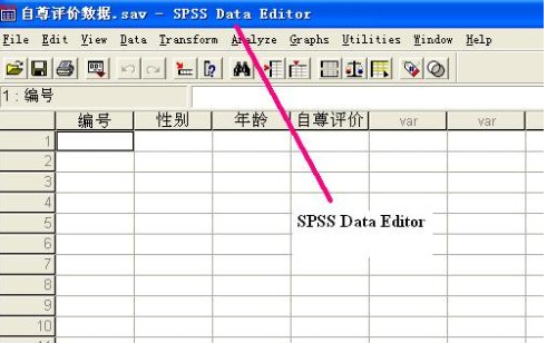spss數(shù)據(jù)編輯窗口（ data editor）