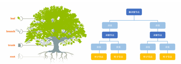  決策樹 分類和預測算法的原理及實現(xiàn)
