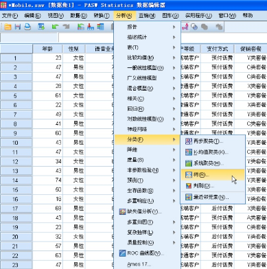多變量分析：分類 決策樹 CHAID&CRT