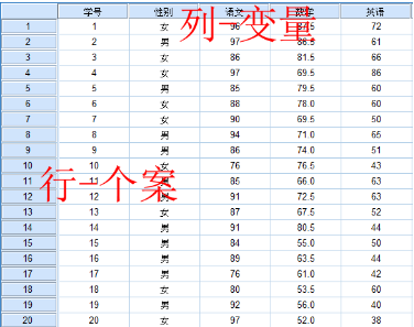 SPSS數(shù)據(jù)錄入對格式的要求