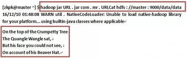 從 Hadoop URL中讀取數(shù)據(jù)