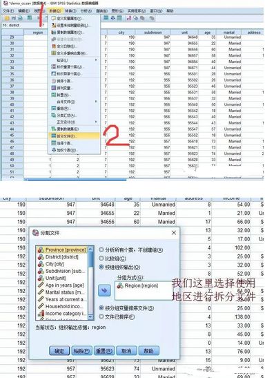 SPSS實(shí)操:個(gè)案水平的數(shù)據(jù)管理