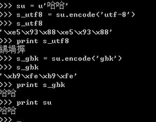  python 中文亂碼問題深入分析
