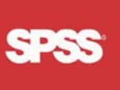 spss:程序編輯窗口界面