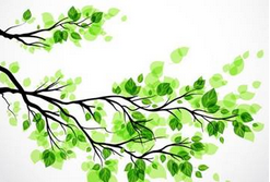 SPSS分析技術：二階聚類分析；為什么出現(xiàn)大學生“裸貸”業(yè)務，因為放貸者知道貸款者還不起