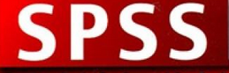 SPSS時間序列：擬合優(yōu)度測量